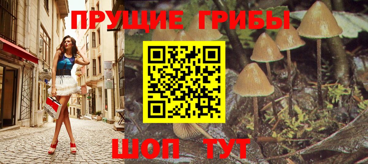 Галлюциногенные грибы Psilocybine cubensis  Вход с VPN  купить  цена  Братск 